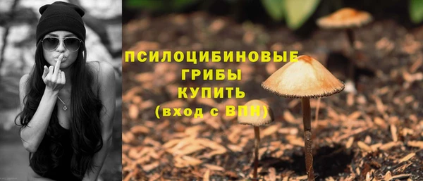 прущие крисы Богданович