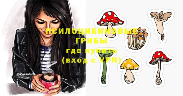 прущие крисы Богданович