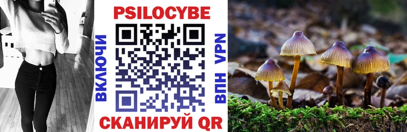 Галлюциногенные грибы Cubensis  Ульяновск 