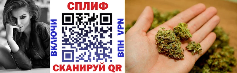 Каннабис индика  Ульяновск 